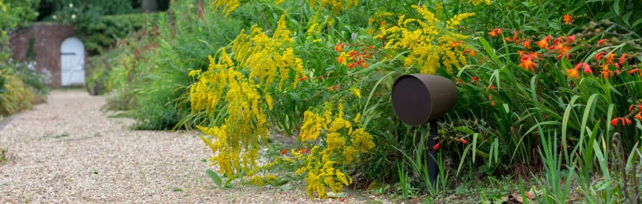 Monitor Audio Climate Garden CLG160 – satellite speaker coassiale 6 pollici per giardino, cabinet conico marrone scuro