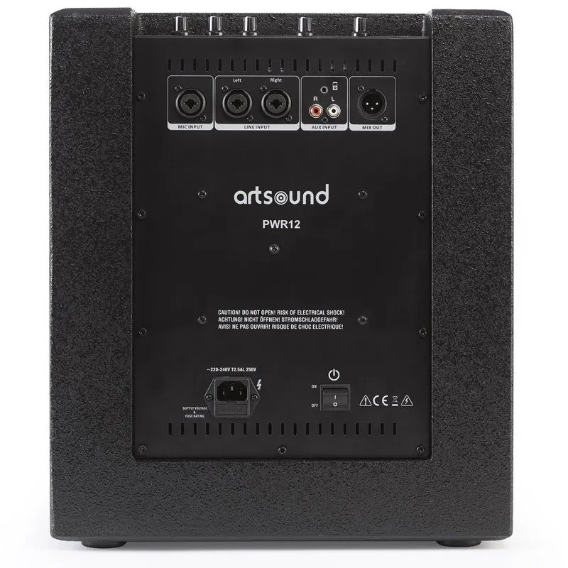 ArtSound PWR12 – pannello posteriore con ingressi XLR bilanciato, jack 6.3mm, RCA, microfono, USB-A carica, controlli volume indipendenti