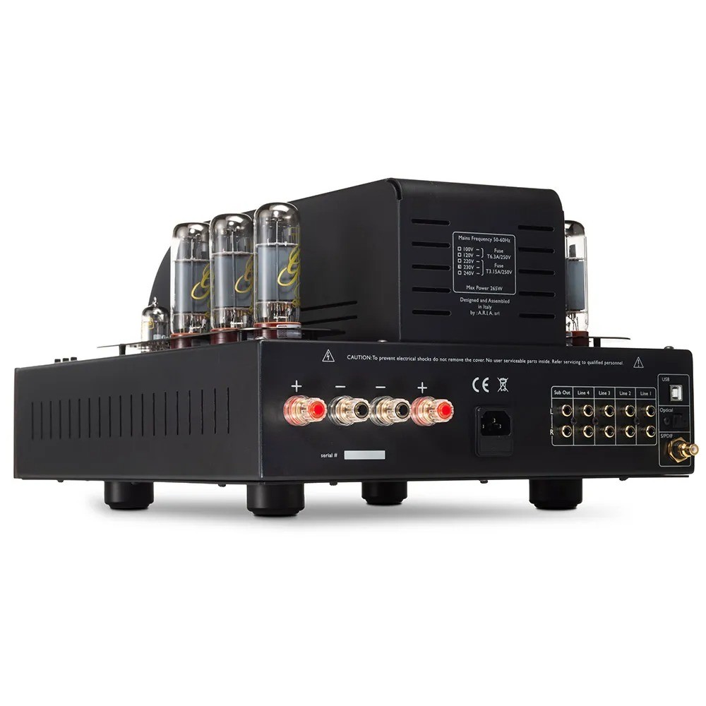 Unison S6 Black Edition – pannello posteriore con ingressi RCA, sezione digitale USB/SPDIF/Toslink, uscita subwoofer
